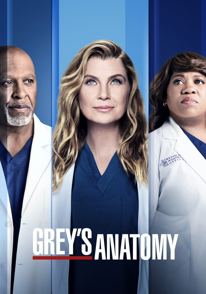 Grey's Anatomy Season 18 watch episodes streaming online
